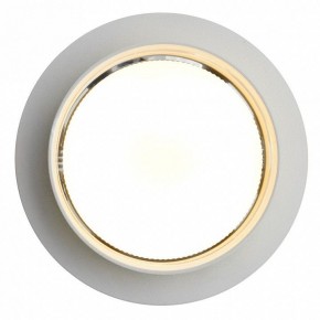 Встраиваемый светильник Feron DL502 51089 в Игре - igra.ok-mebel.com | фото 5