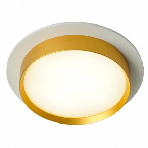 Встраиваемый светильник Feron DL507 51354 в Игре - igra.ok-mebel.com | фото 3